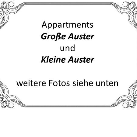 Auster-Appartements 萨尔布吕肯 外观 照片