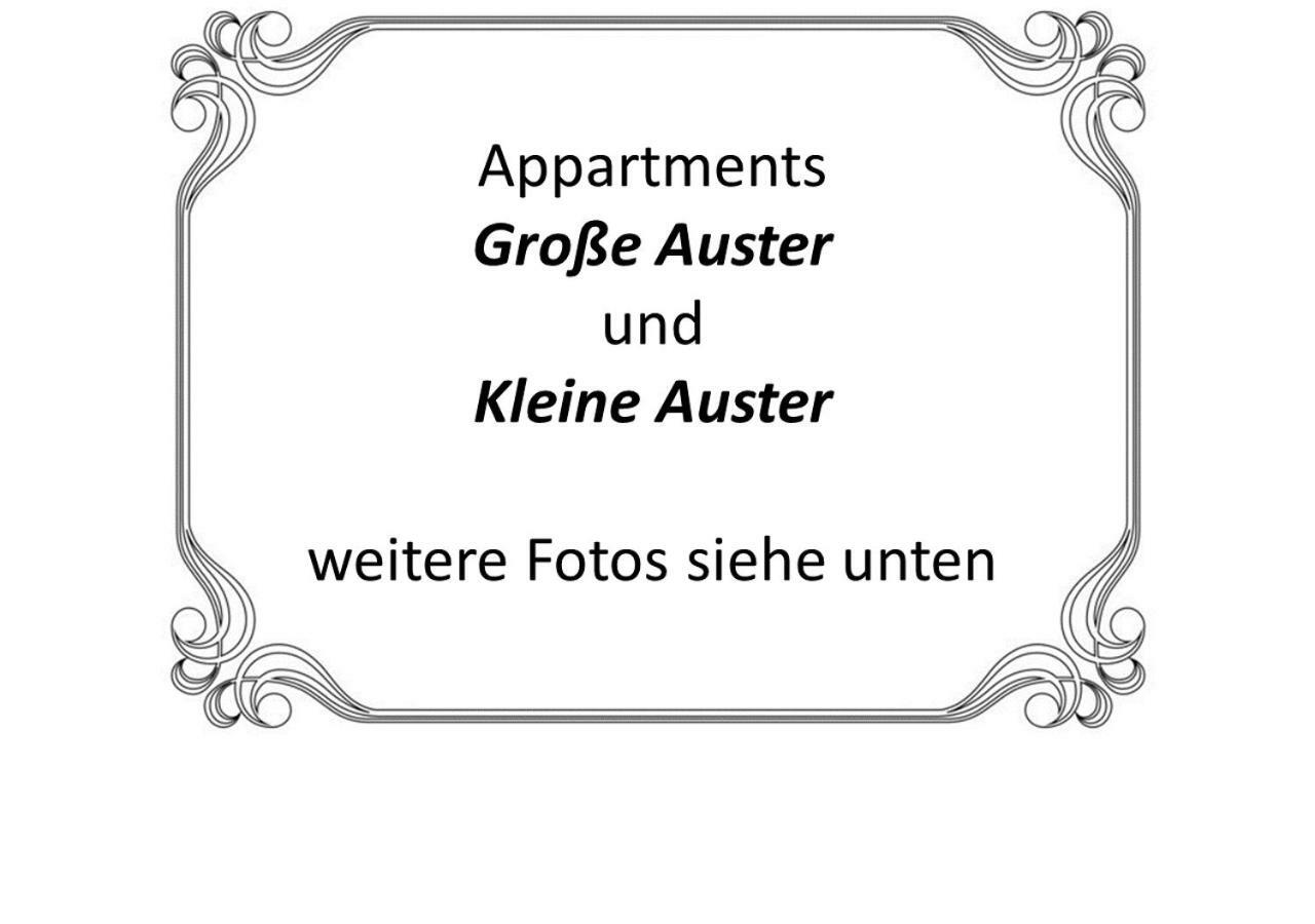 Auster-Appartements 萨尔布吕肯 外观 照片